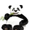 TinyPNG